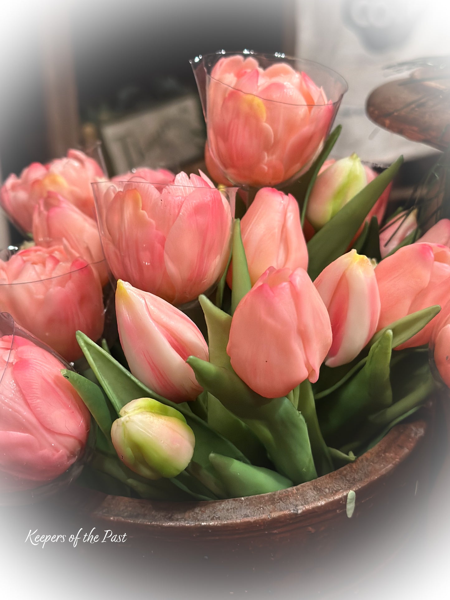 Pale Pink Tulip Bush