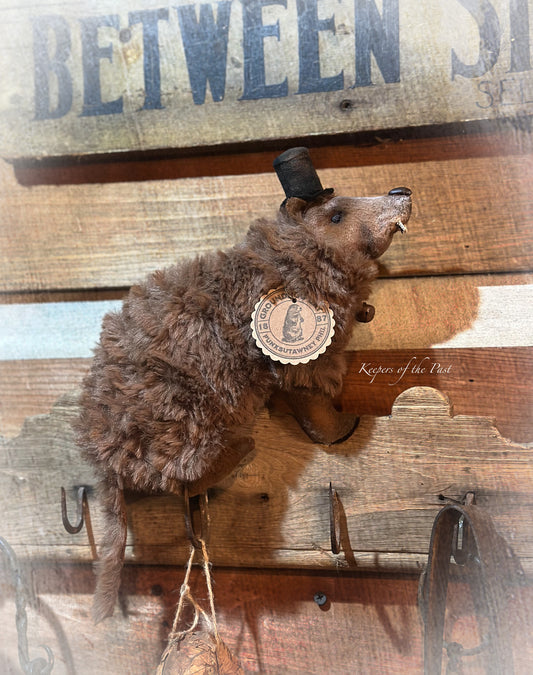 Punxsutawney Phil Groundhog