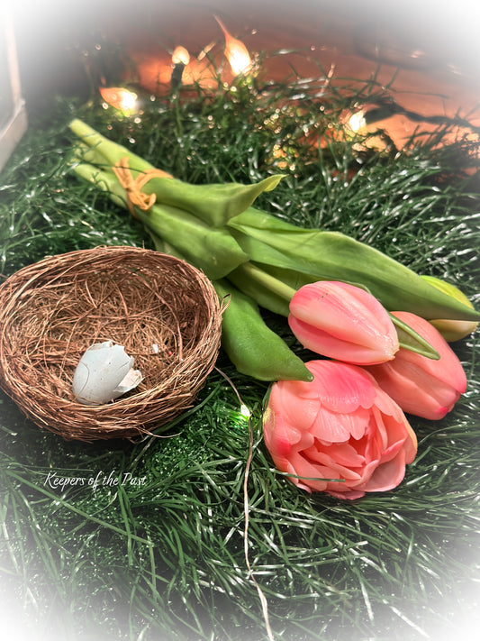 Pale Pink Tulip Bush