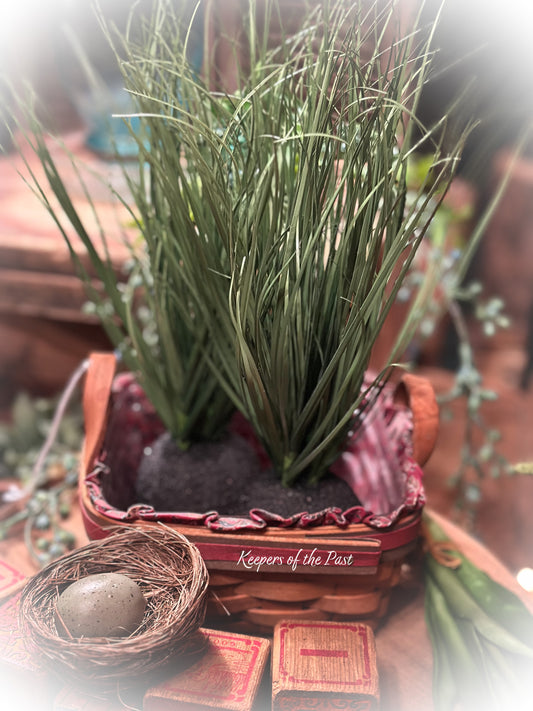 Wild Onion Grass Bulb