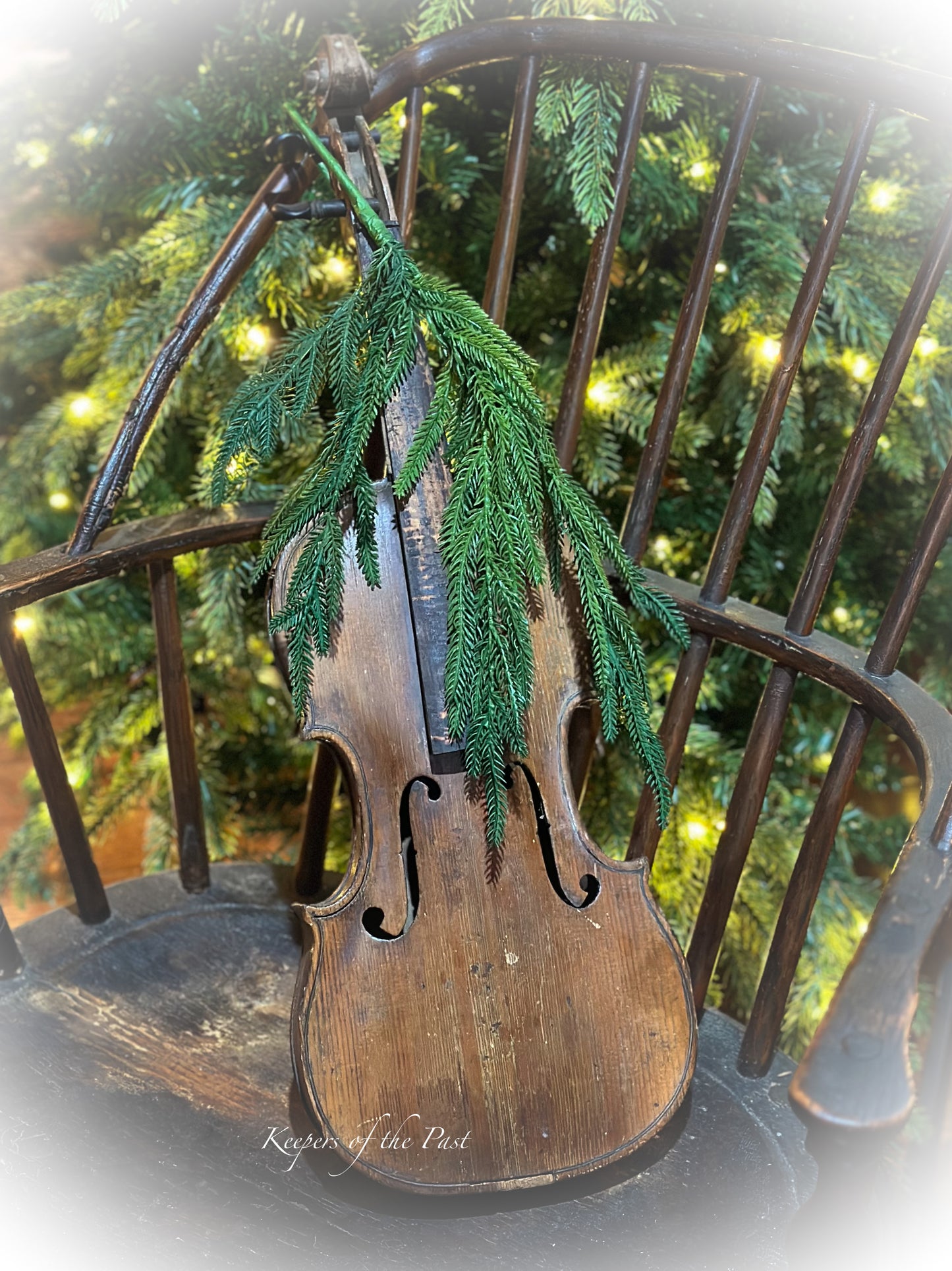 Realistic Norfolk Pine Branch