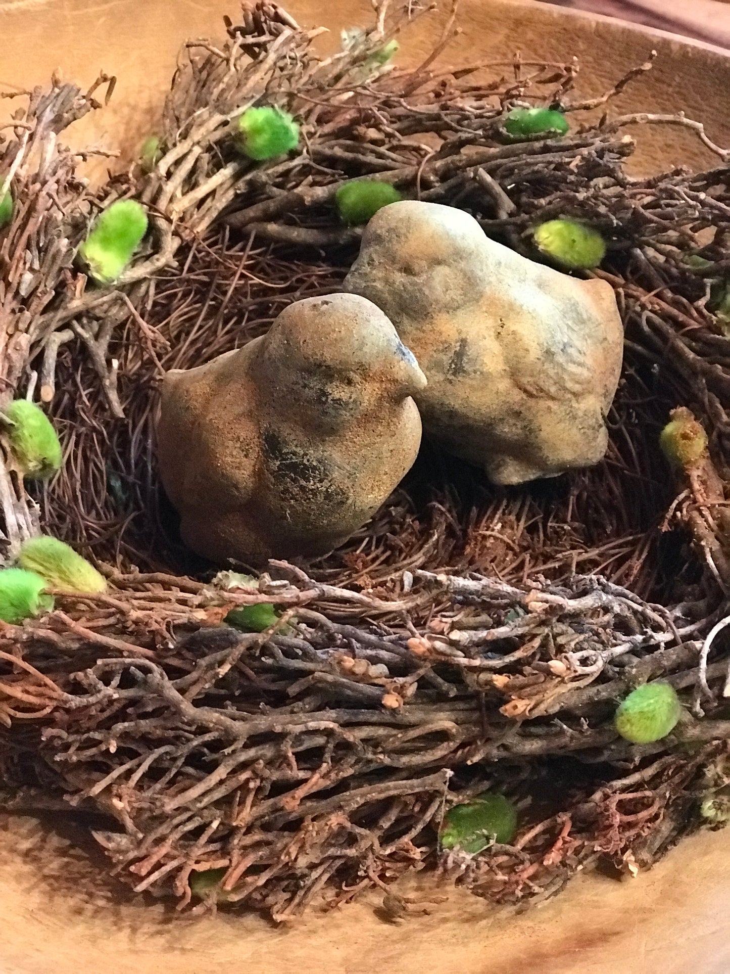 Spring Chicks Set