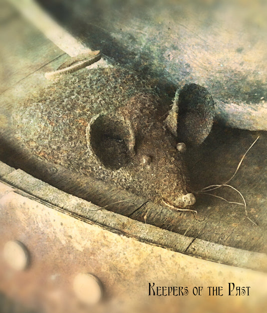 Flat Mouse