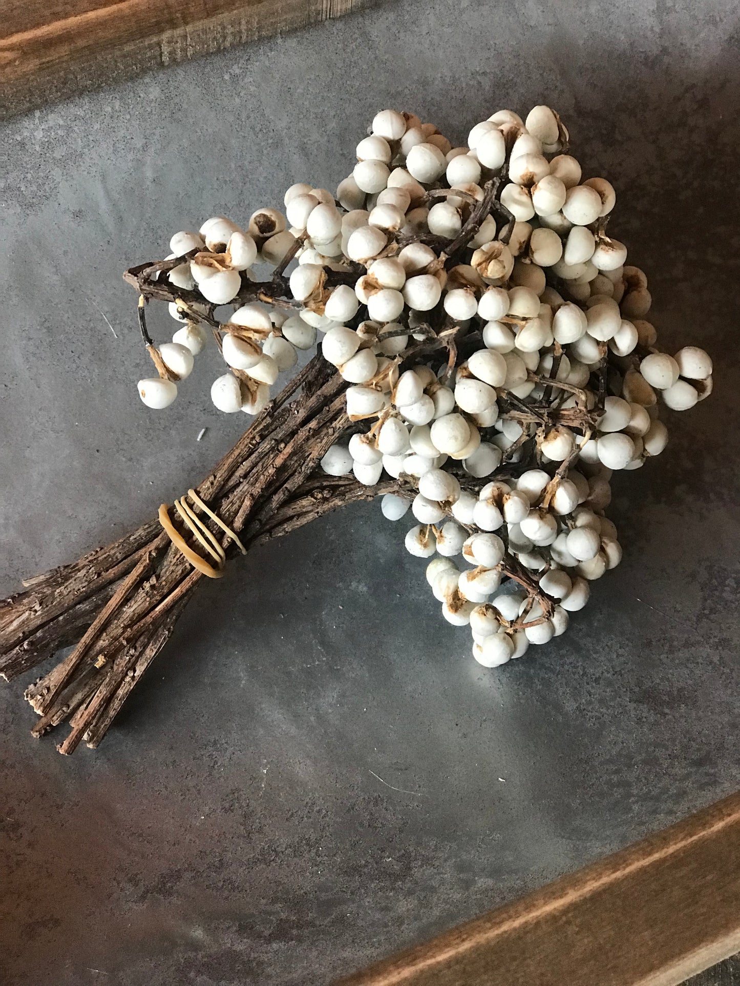 Tallow Berries