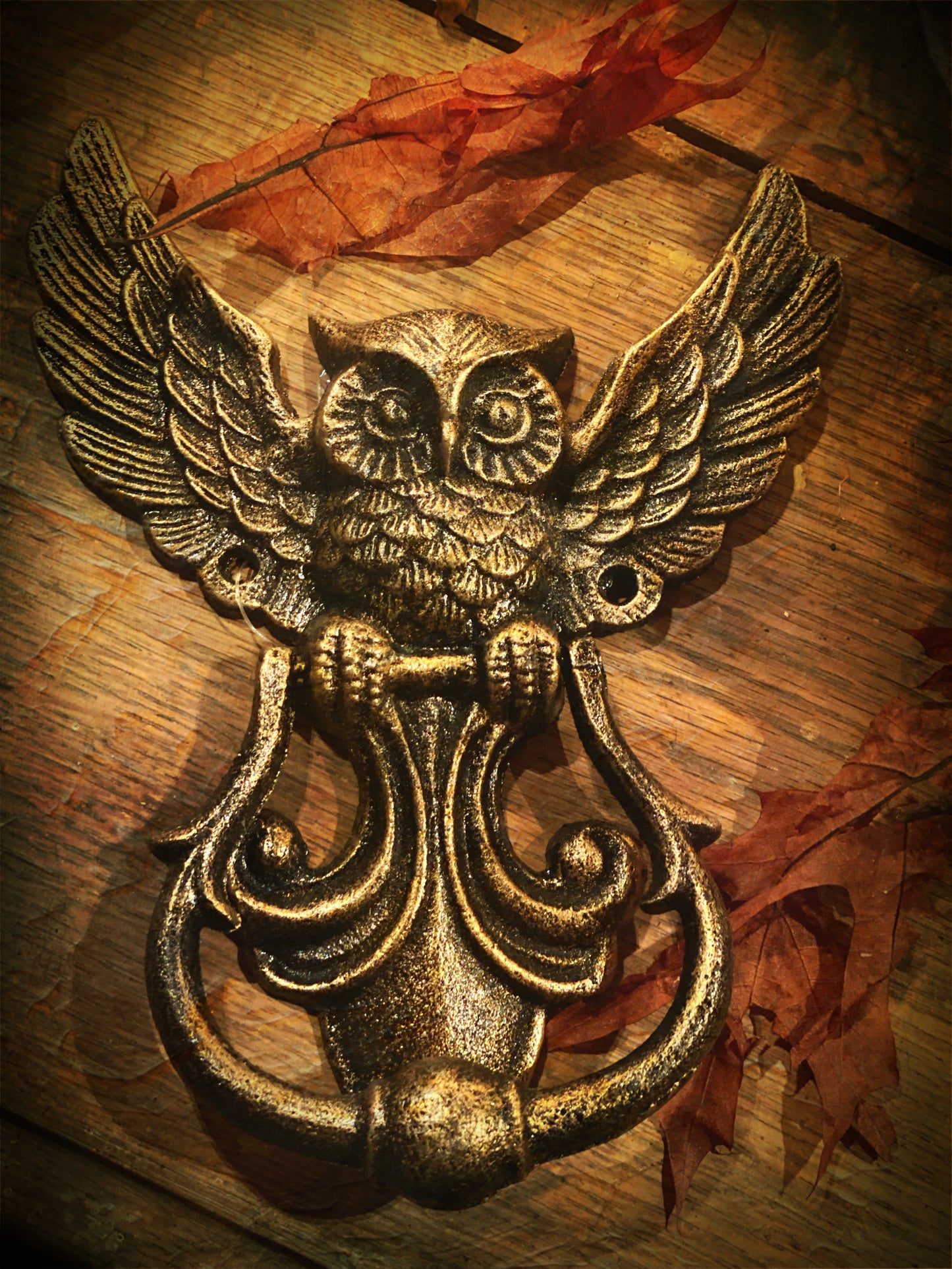 Cast Iron Owl Door Knocker