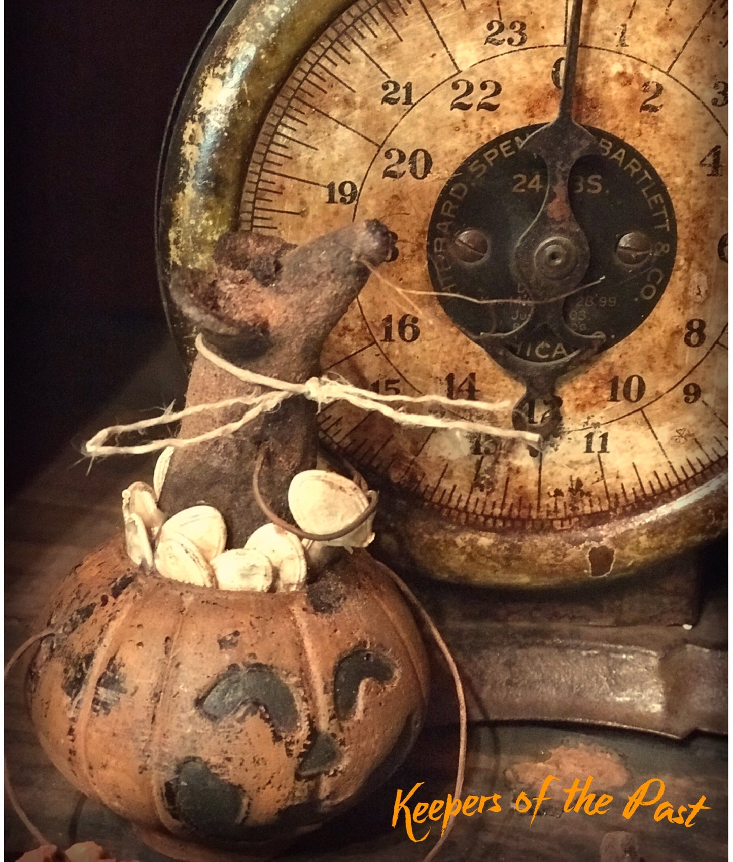 Pumpkin Seed Mouse