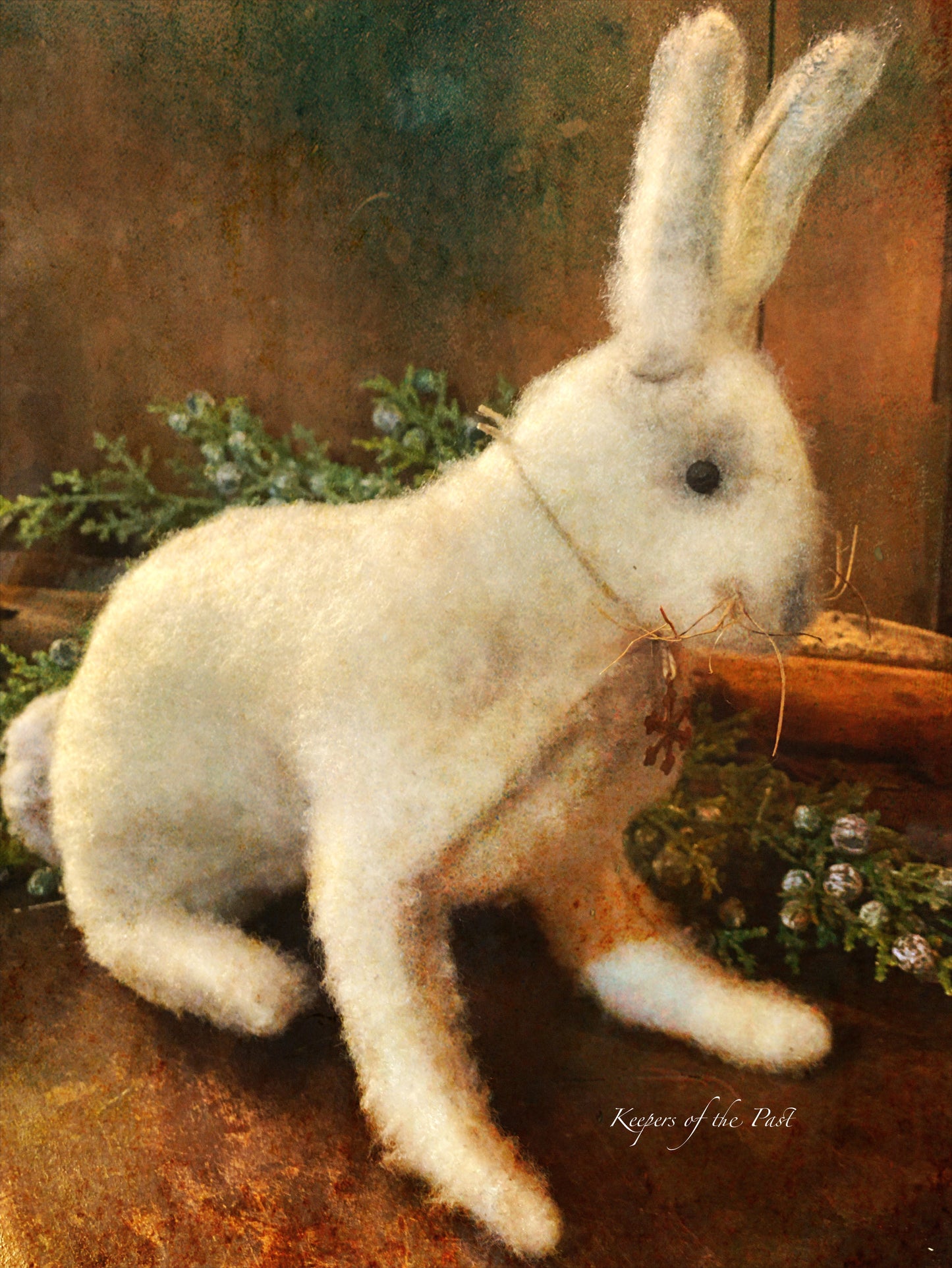Snow Shoe Hare