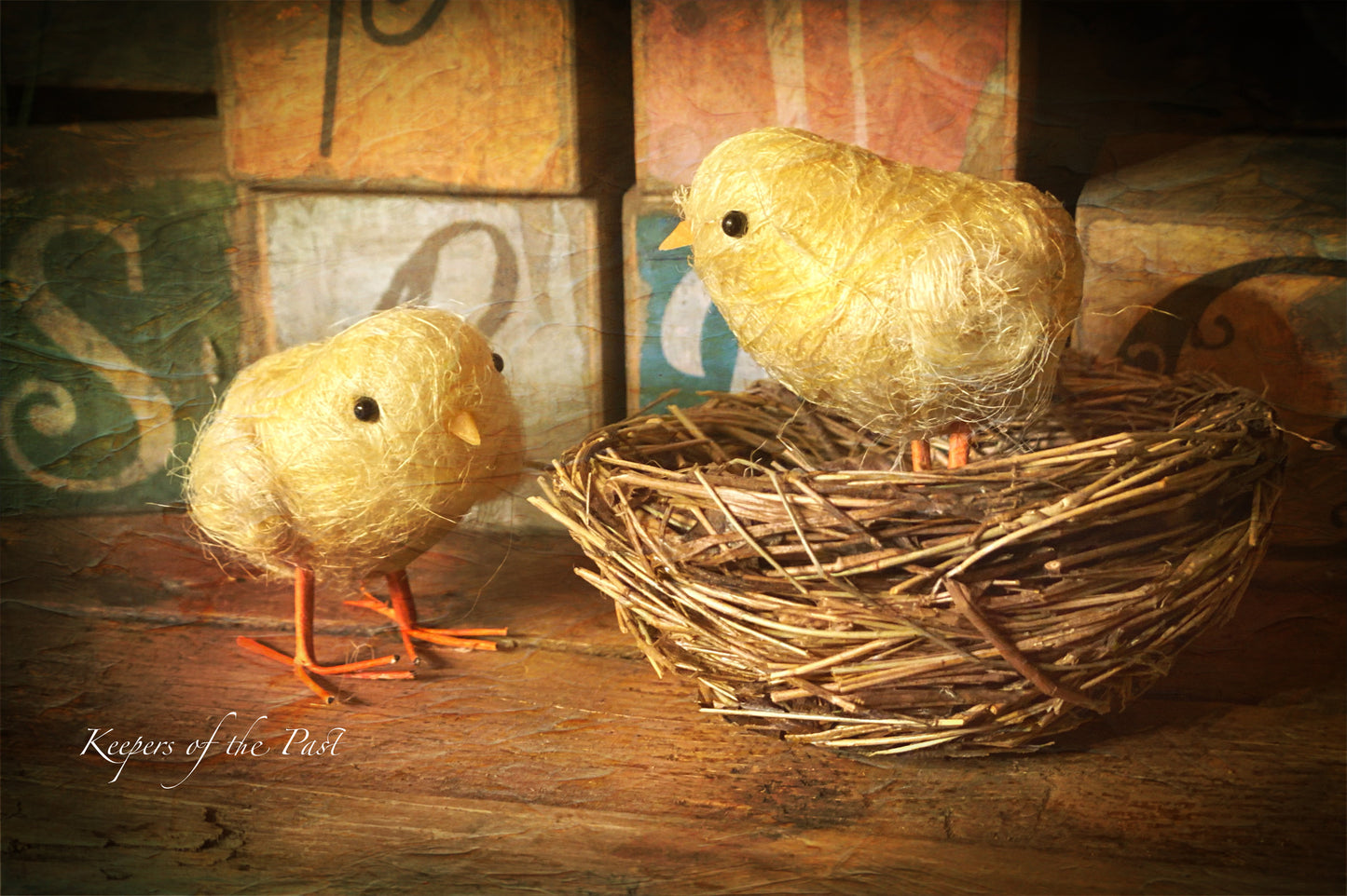 Spring Chicks and Nest