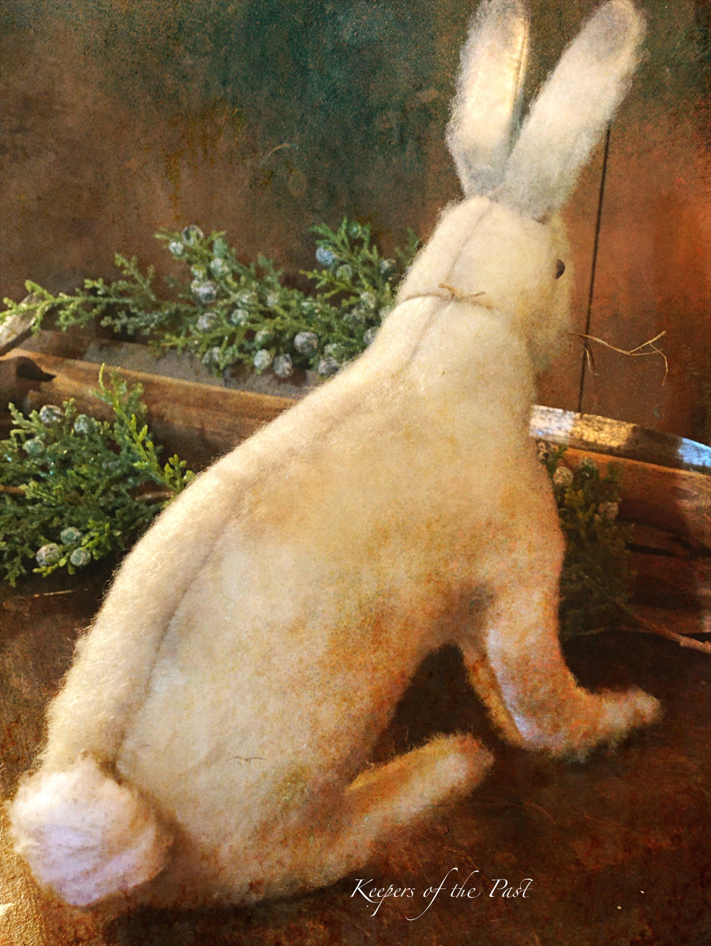 Snow Shoe Hare