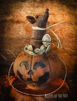 Pumpkin Seed Mouse